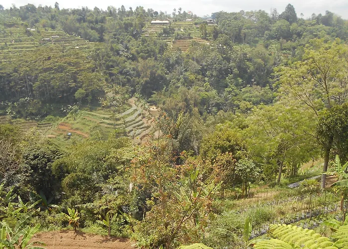 Shangrilah 2*